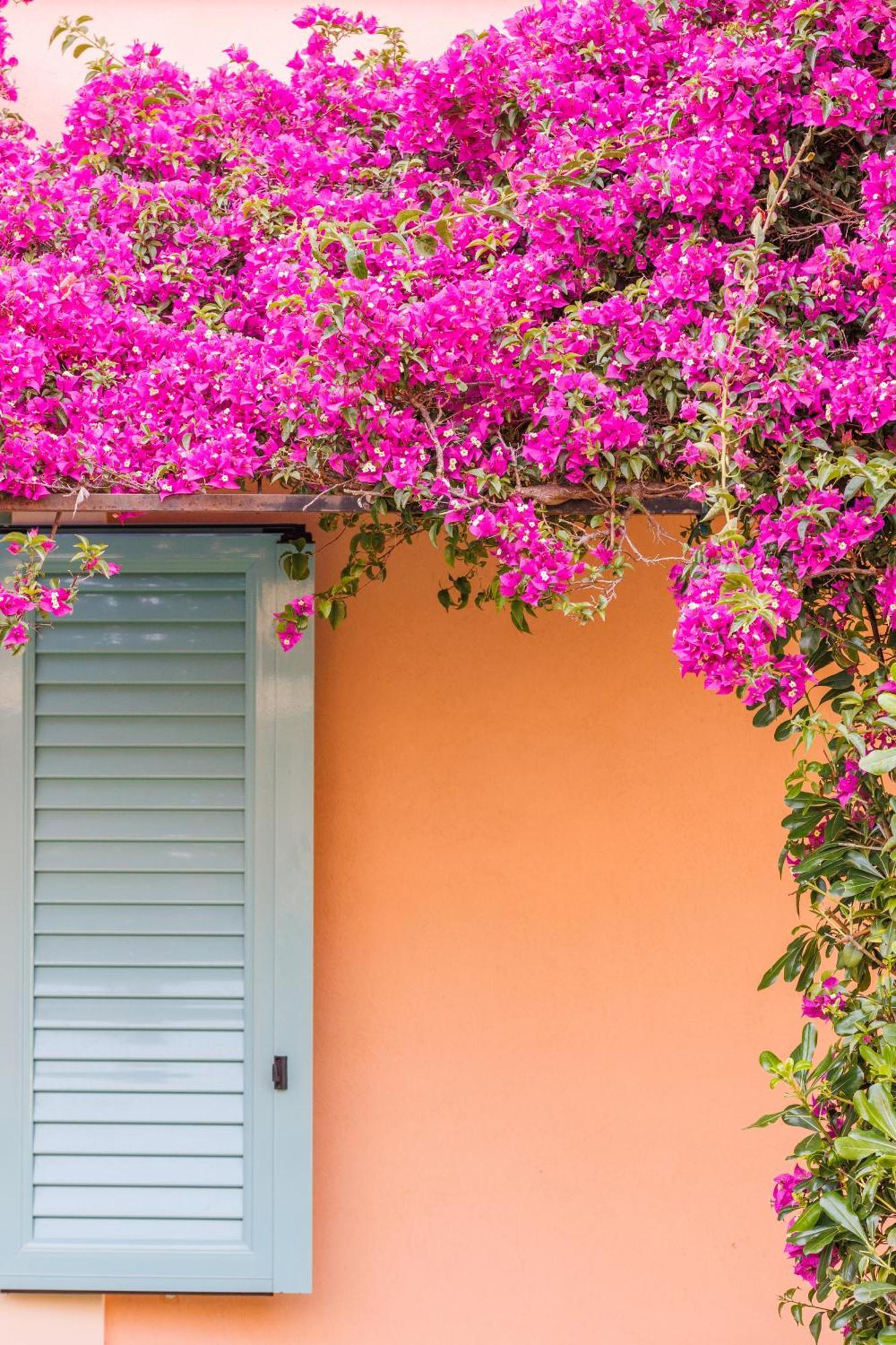 Satori Boutique Hotel